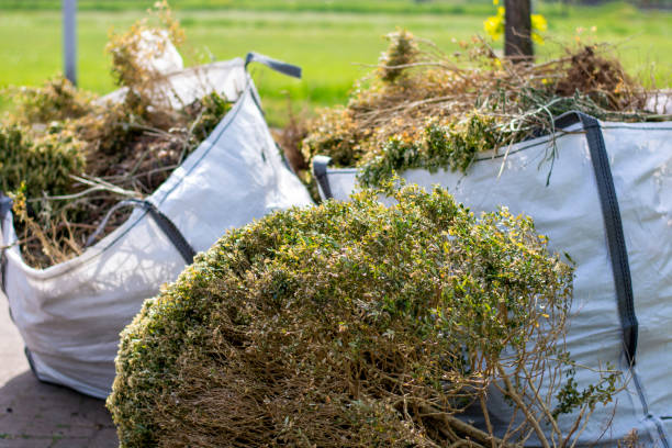 Best Household Junk Removal  in Darrington, WA